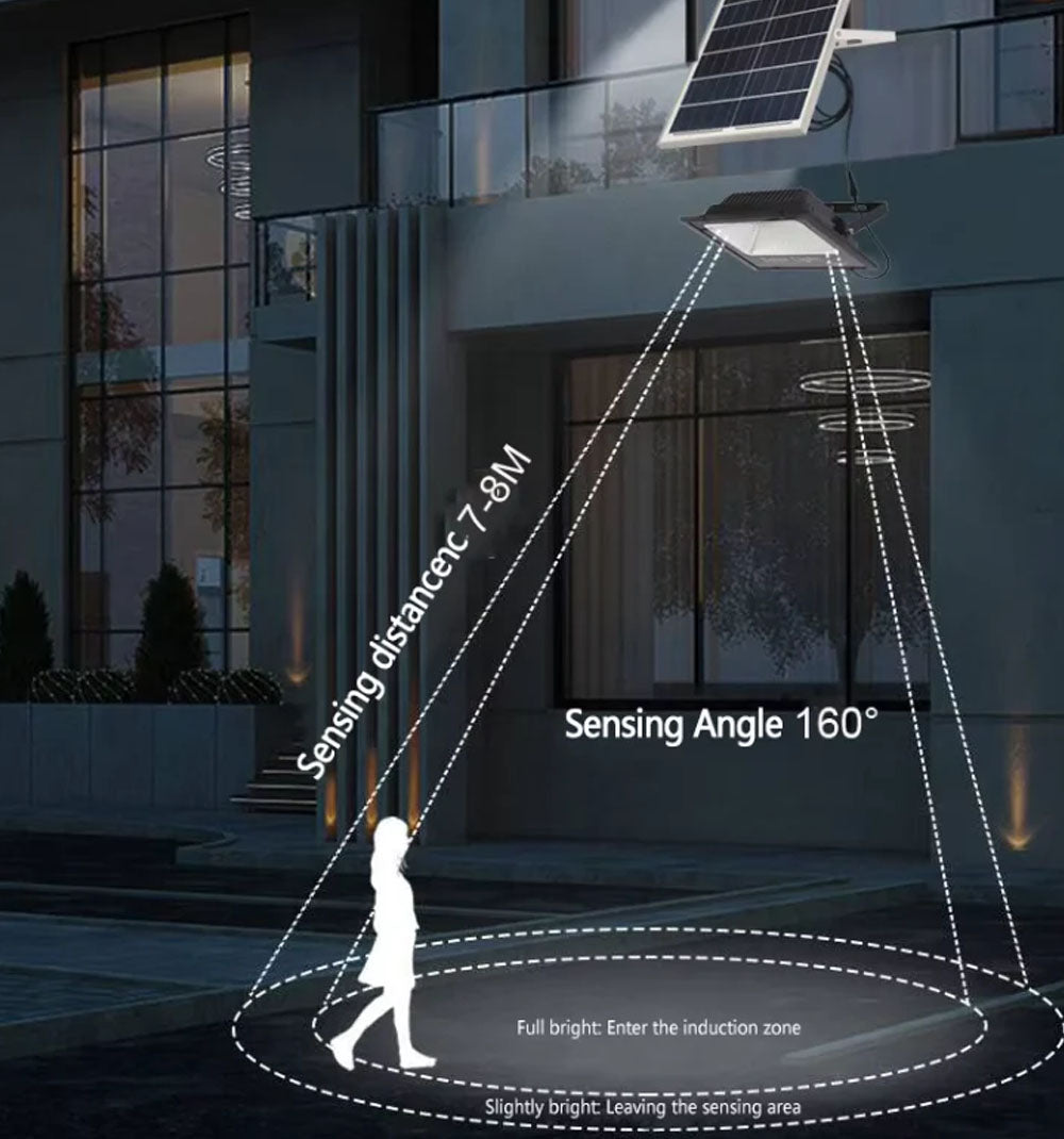 Solar Flood Light