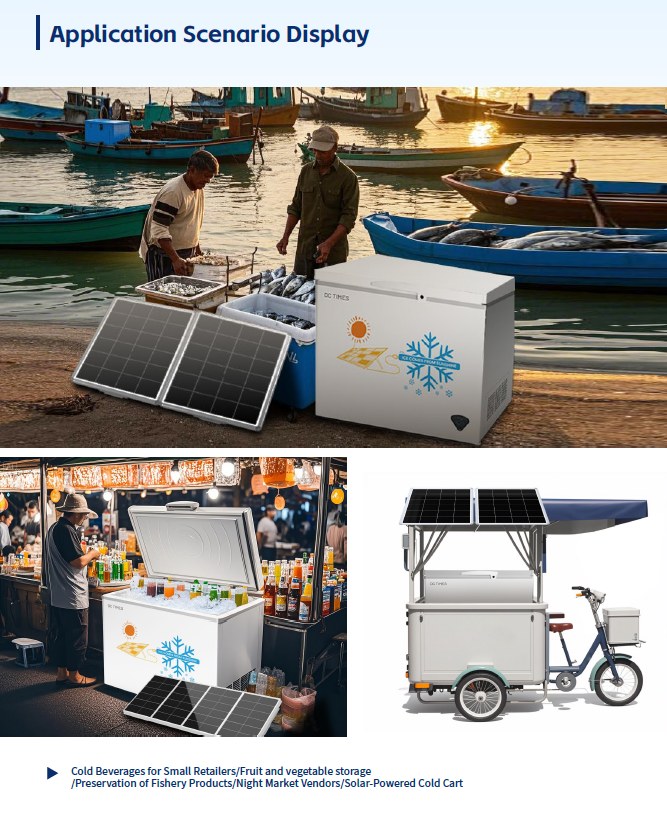 Solar-Powered DC Freezer